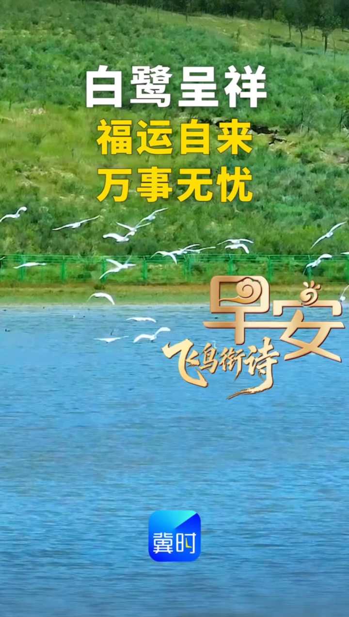 早安丨白鹭呈祥，福运自来，万事无扰
