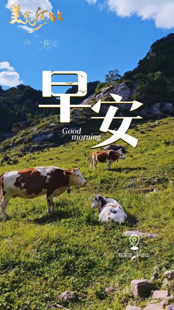 2026年9月26日，早安！良辰相伴，假期慵懒，不用忙忙碌碌，愿您自在欢喜，岁岁安康！