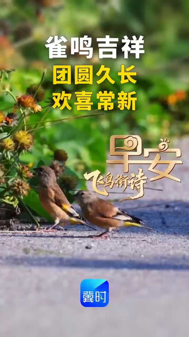 早安丨雀鸣吉祥！团圆久长，欢喜常新