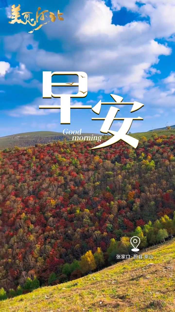 2026年9月28日，早安！工作日 稳住节奏，沉下心慢慢前行，愿您情绪安稳，诸事顺遂！