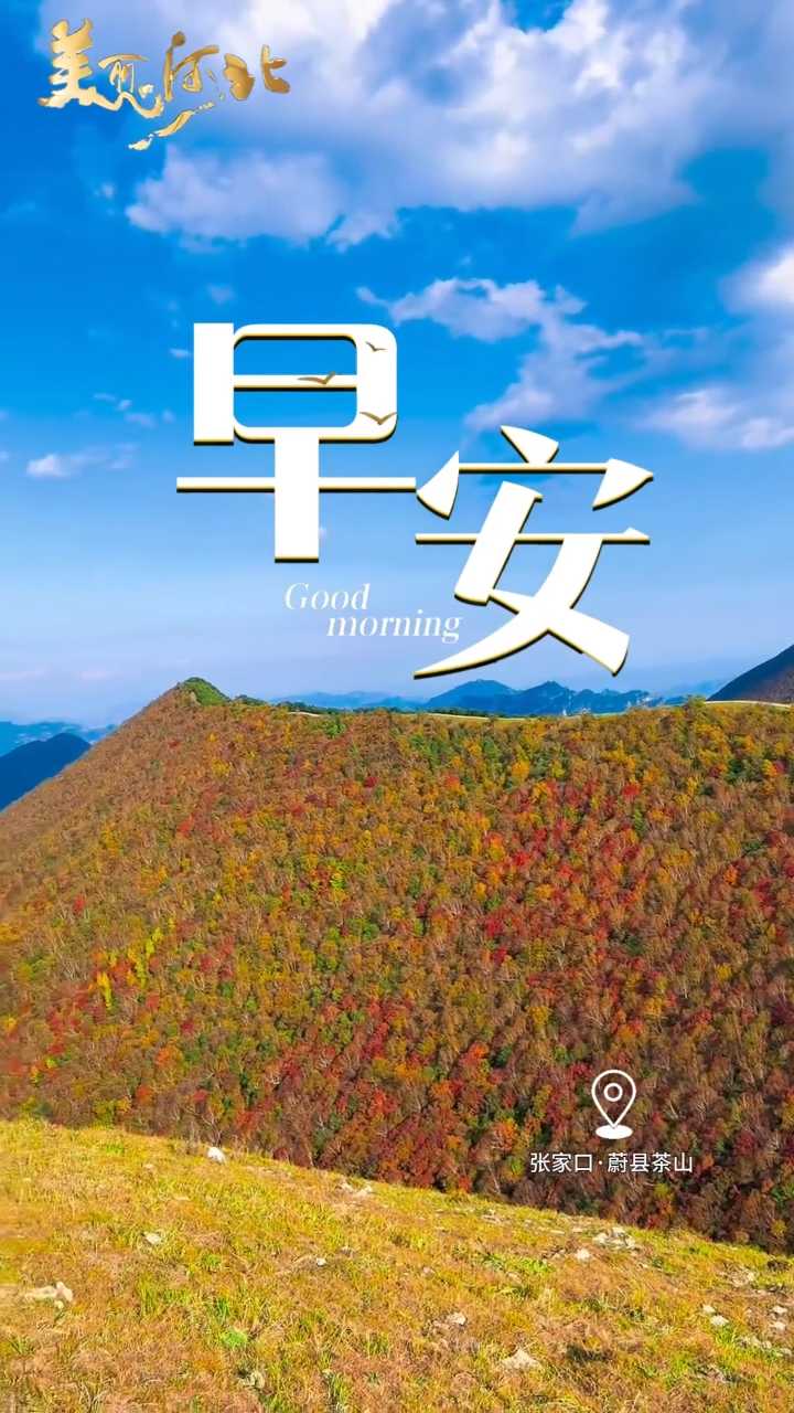 2026年9月29日，早安！新日启程，保持热爱，心有从容，静待美好！