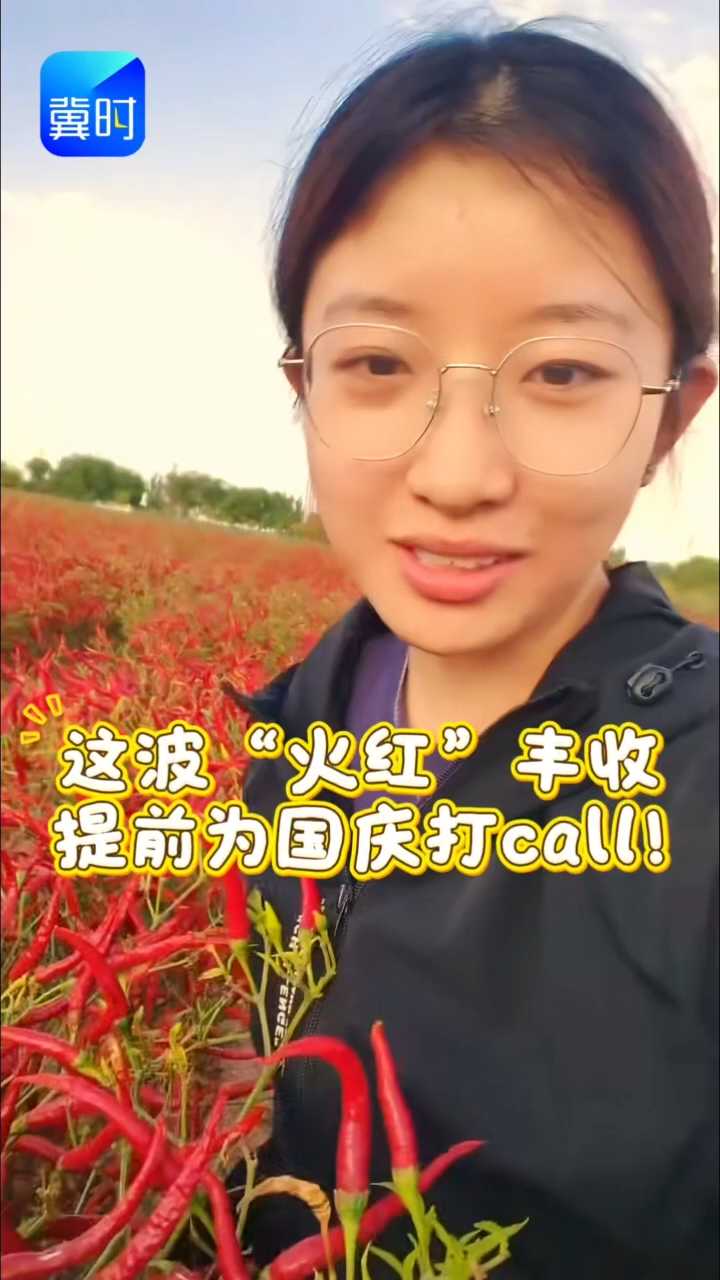 青春扎根泥土，丰收献礼祖国