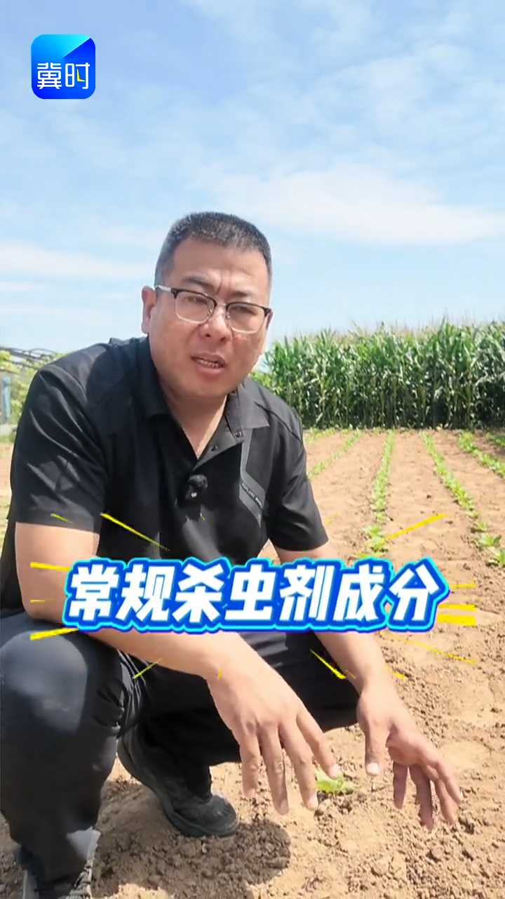【专家在线】叶菜上的虫害防不住？别急！一招教您来解决