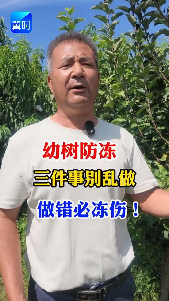 【专家在线】幼树防冻，三件事别乱做！做错必冻伤