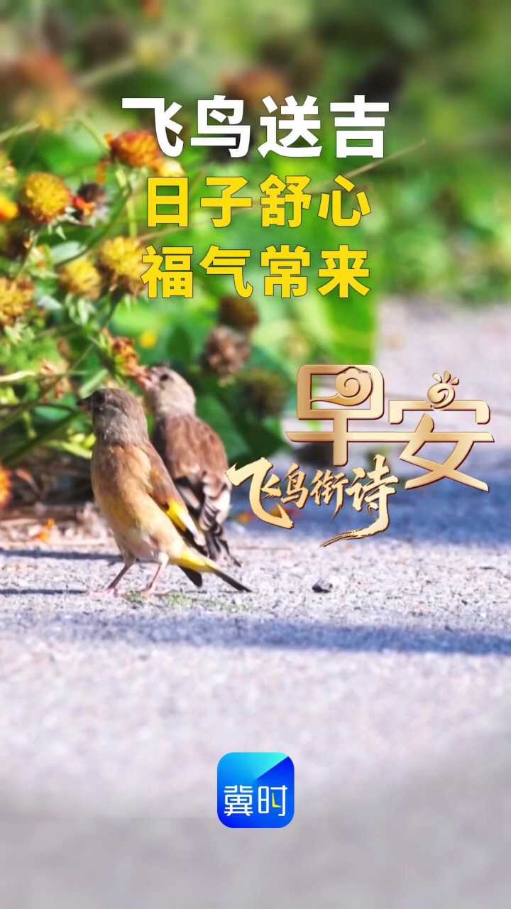 早安丨日子舒心 福气常来