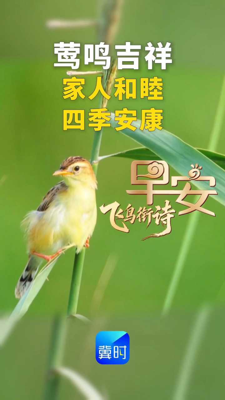 早安丨家人和睦 四季安康