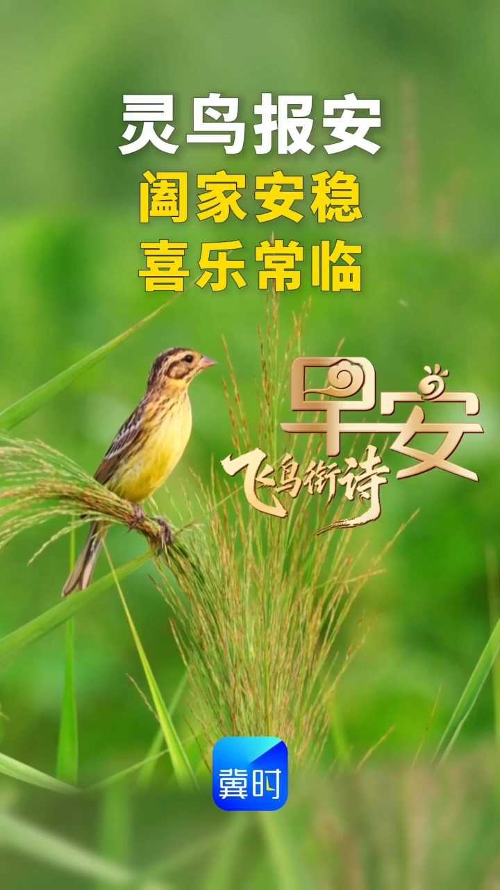 早安丨阖家安稳 喜乐常临