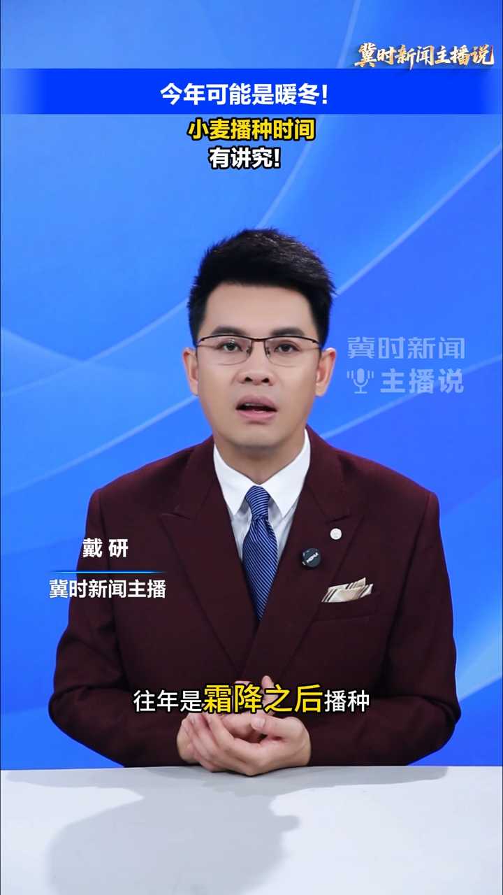【冀时新闻主播说】今年可能是暖冬！小麦播种时间有讲究