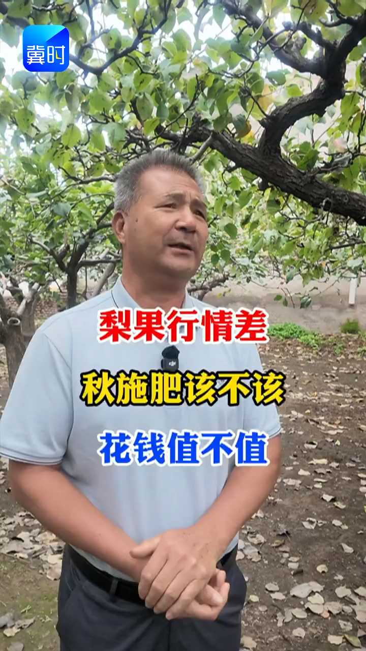 【专家在线】梨果行情不理想！秋施肥该不该，花钱值不值？