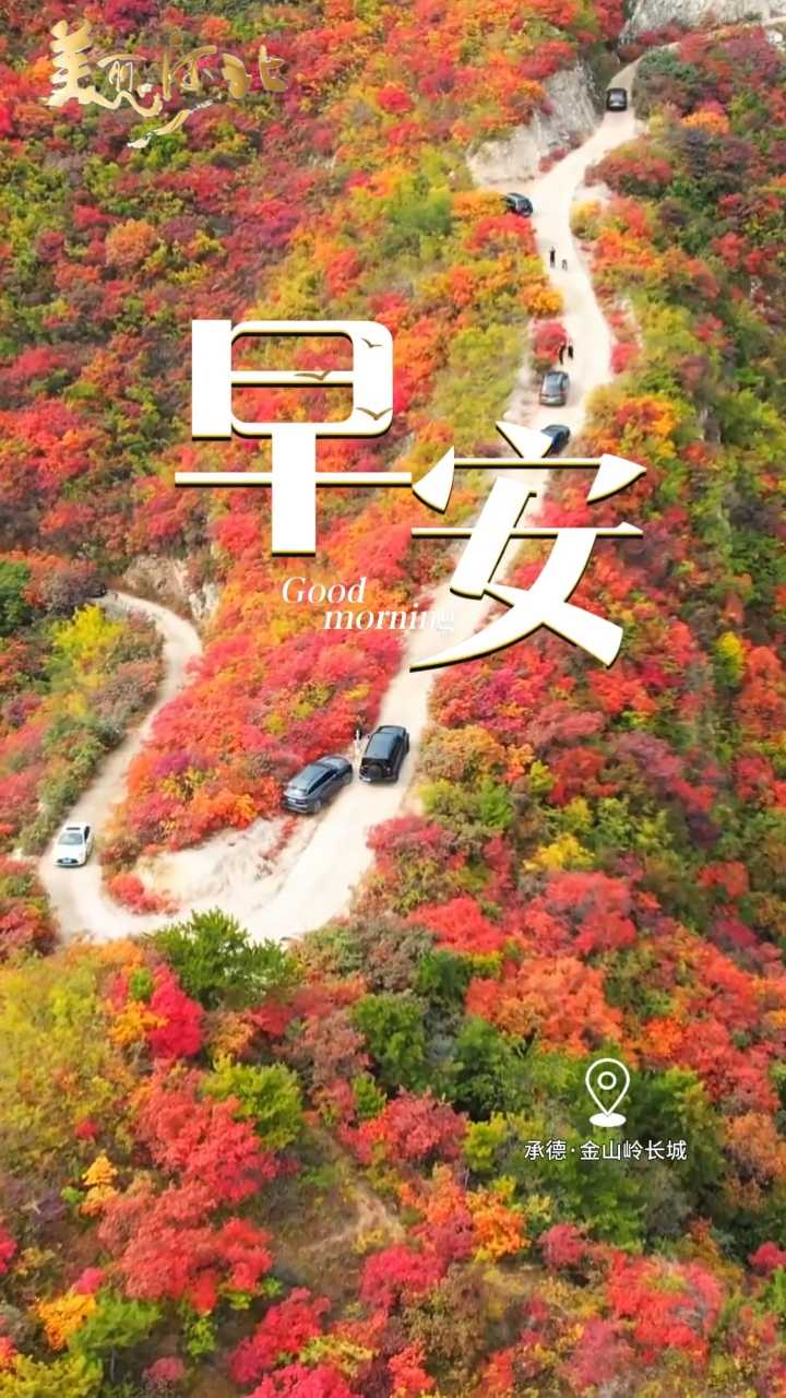 2026年10月11日，早安！把昨天的疲惫留在昨天，把今天的心情调成喜欢的样子，愿你 醒来有期待，出门有风景，所遇皆温柔！