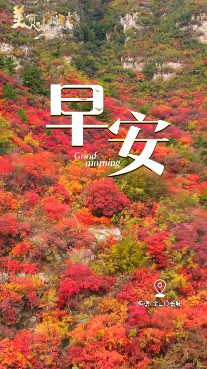 2026年10月12日，早安！新的一周，不慌不忙，按自己的节奏来，愿你事有回应，心有所期！