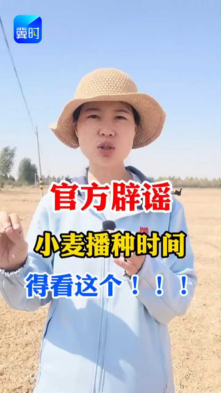 【专家在线】官方辟谣！小麦播种时间得看这个