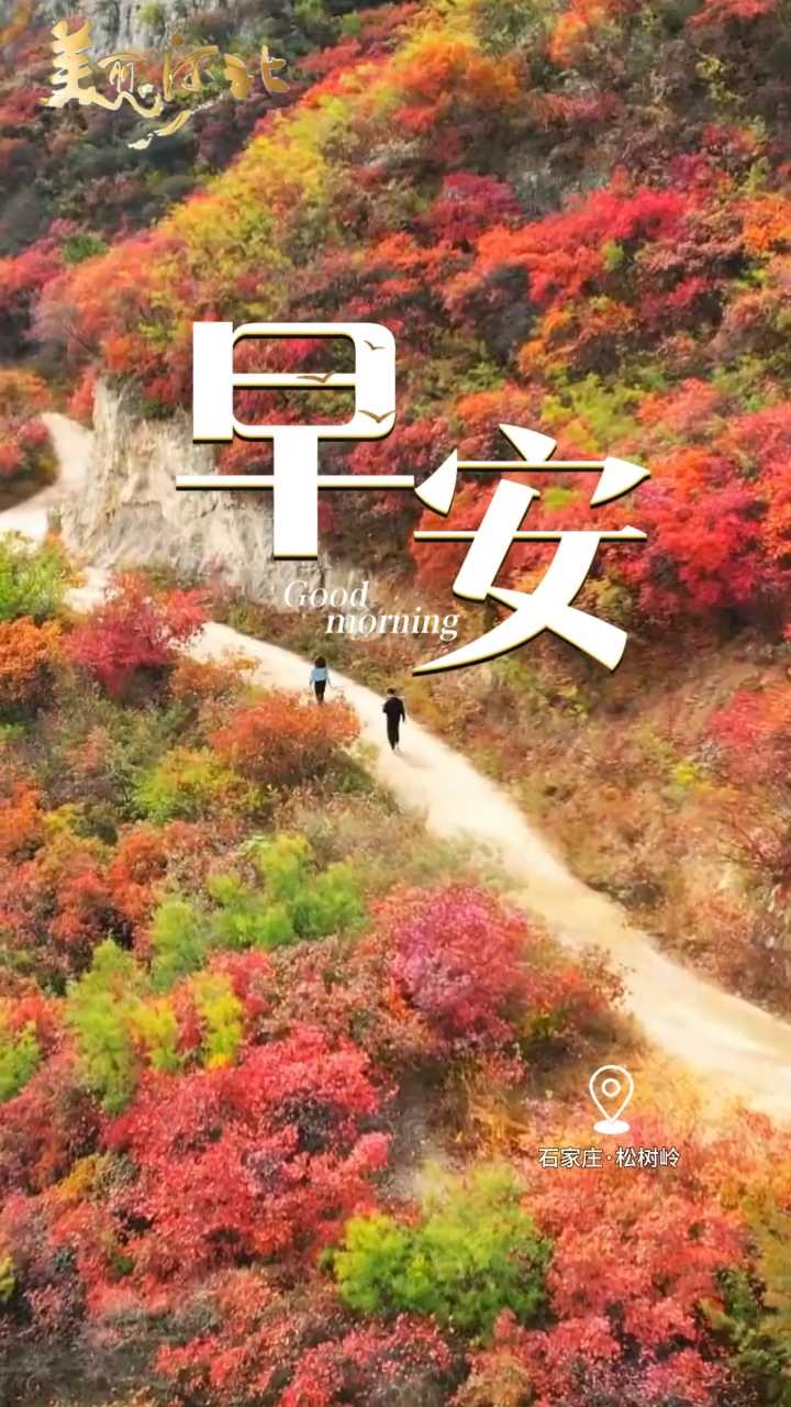 2026年10月13日，早安！普通的日子也值得认真对待，每天的默默努力终会悄悄变好