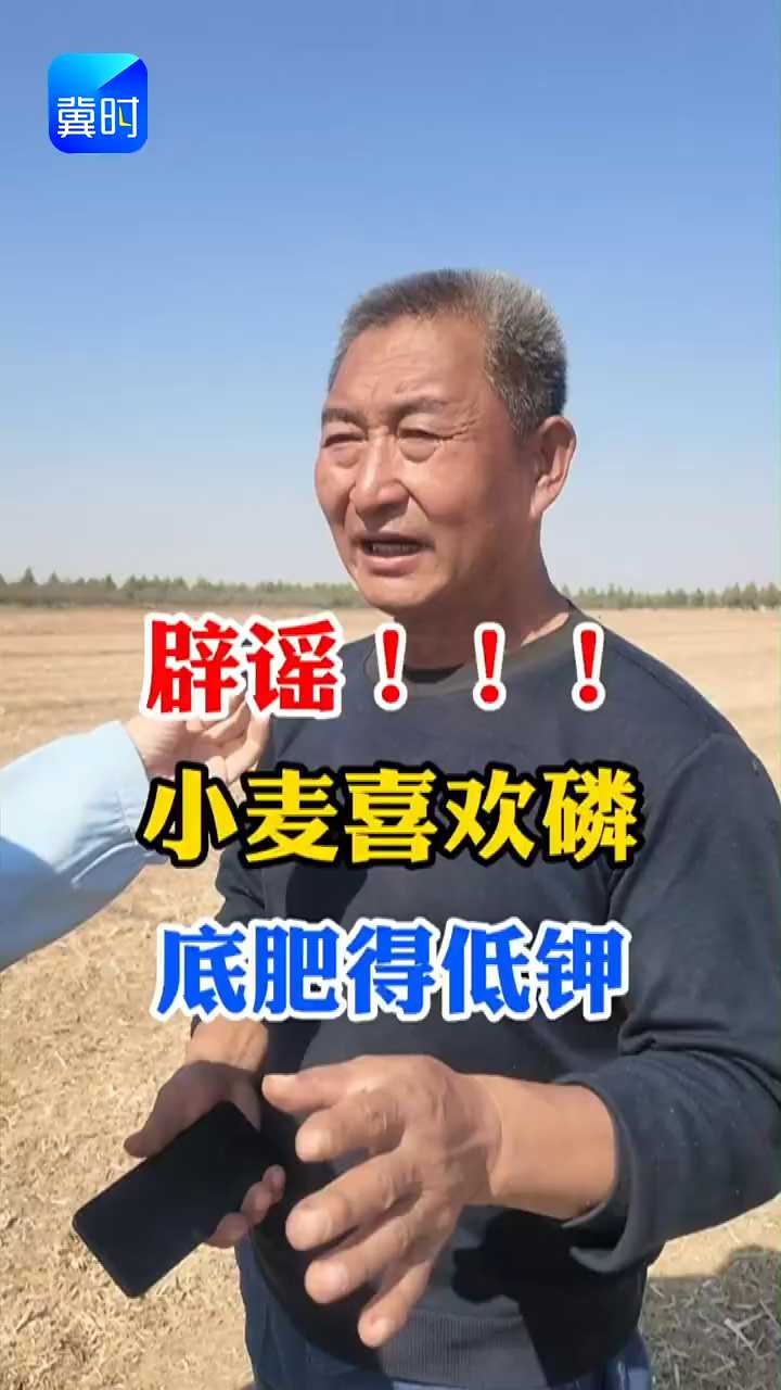 【专家在线】辟谣！小麦喜欢磷，底肥得低钾