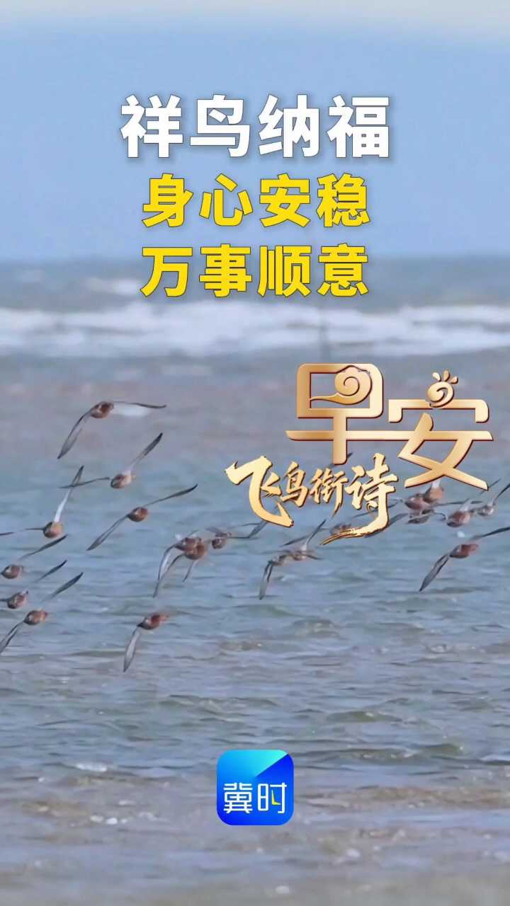 早安丨身心安稳 万事顺意
