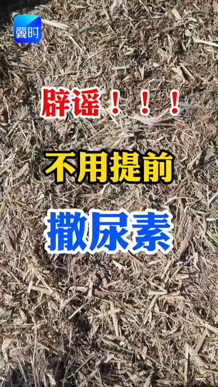 【专家在线】辟谣！种小麦前，不用提前撒尿素