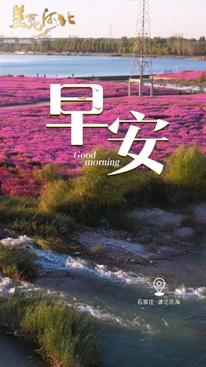 2026年10月16日，早安！把烦恼留在昨天，把期待放在今天，认真做好手边的事，温柔对待身边的人；愿你今天好运再现！