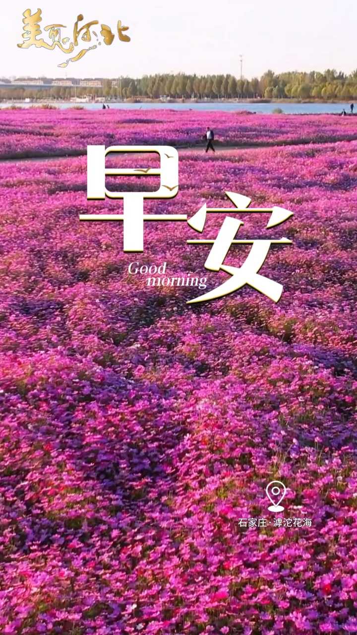 2026年10月15日，早安！别急着赶路，先给自己一个微笑。把疲惫放一放，把热爱捡起来。愿你今天有事做，有人爱，有所期待！