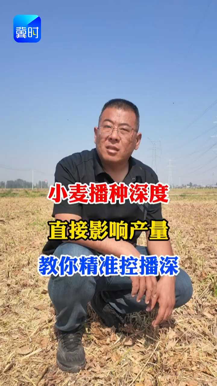 【专家在线】小麦播种深度直接影响产量！教你精准控播深