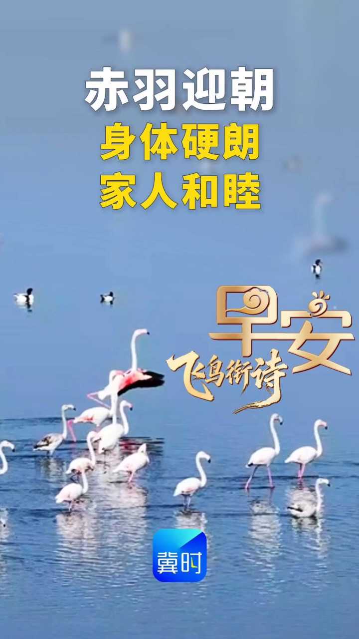早安丨身体硬朗 家人和睦