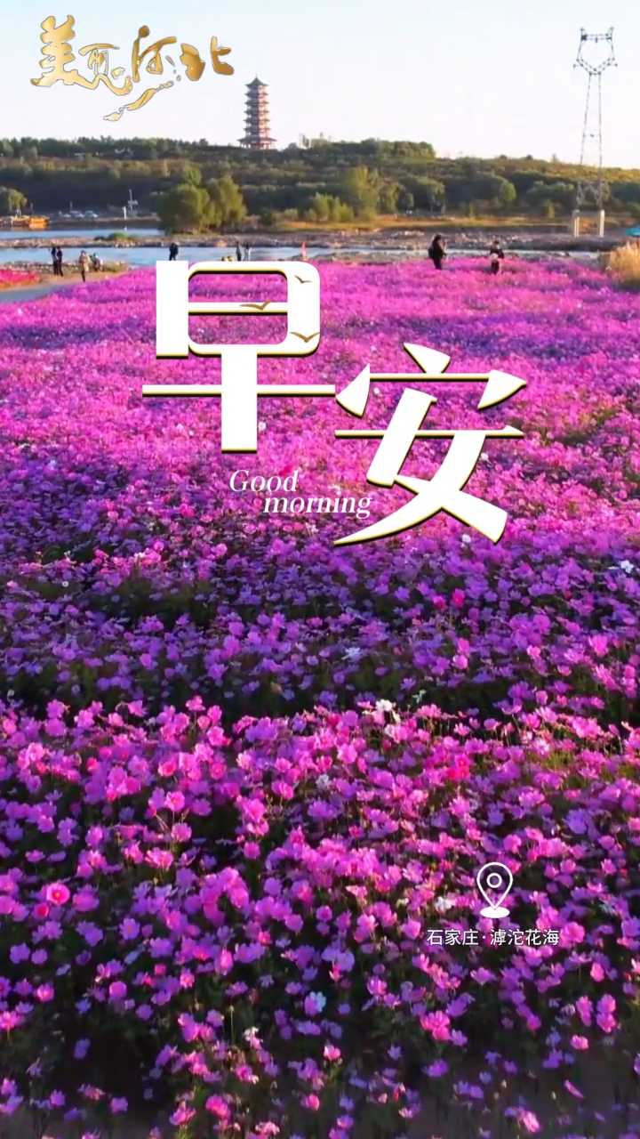 2026年10月18日，早安！允许自已慢下来是成年人最温柔的充电，愿你今天继续放松，明天更有底气！