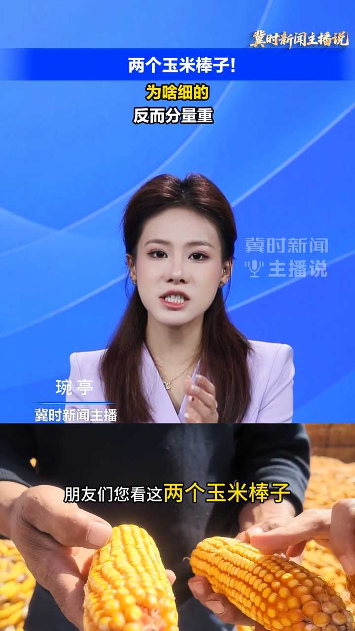 【冀时新闻主播说】两个玉米棒子！为啥细的，反而分量重