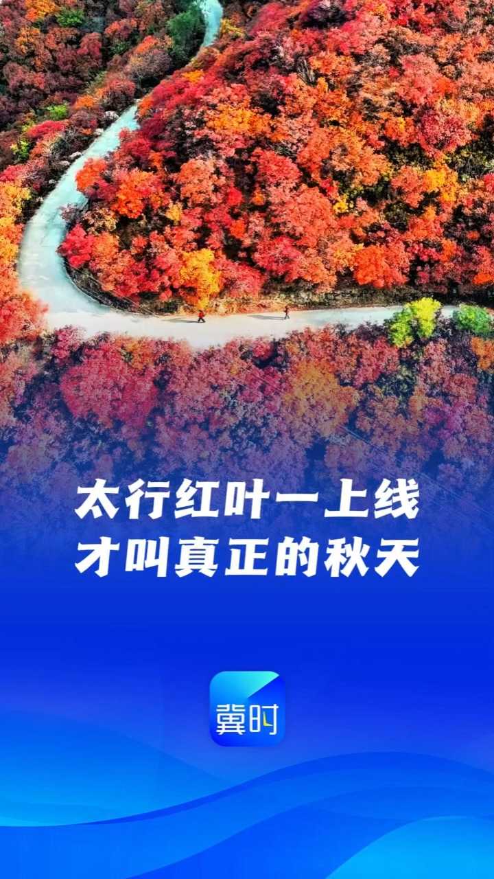 来河北啊~ 太行红叶一上线，才叫真正的秋天！