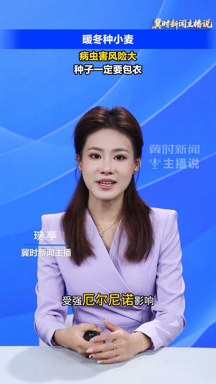 【冀时新闻主播说】暖冬种小麦，病虫害风险大！种子一定要包衣