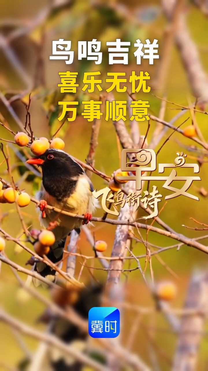 早安丨喜乐无忧 万事顺意