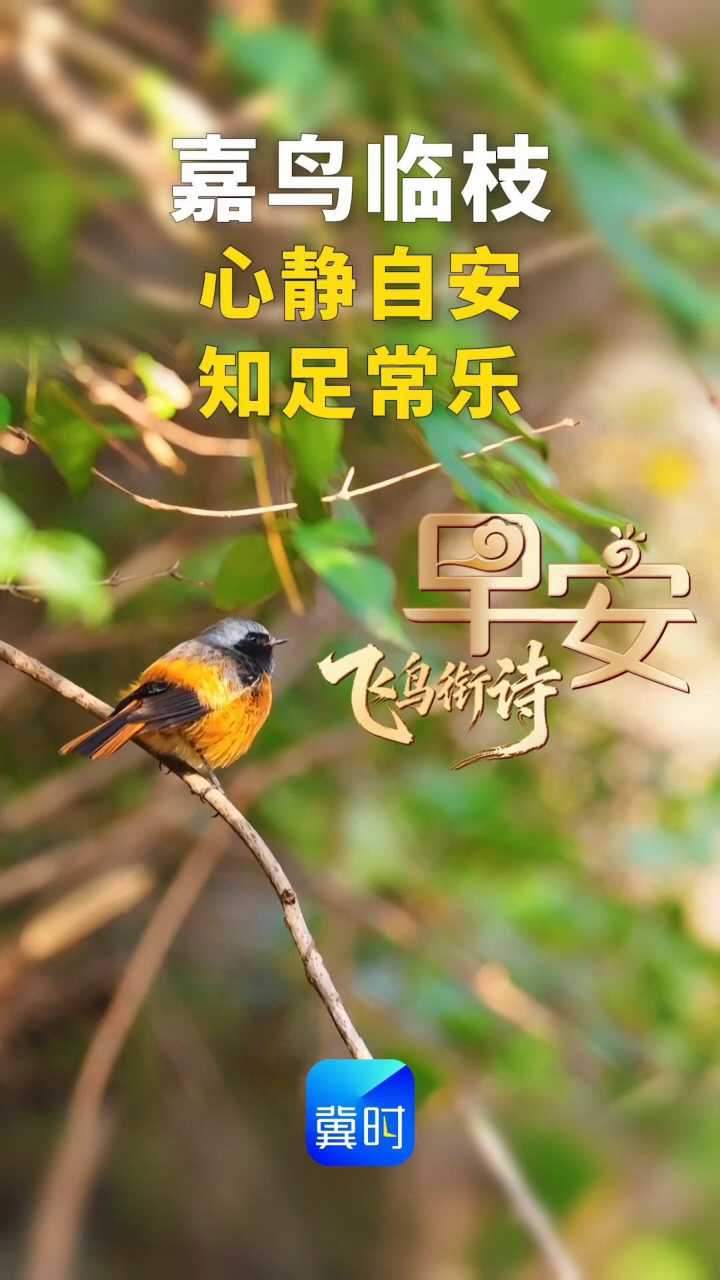 早安丨愿您百事从欢 朝暮皆安