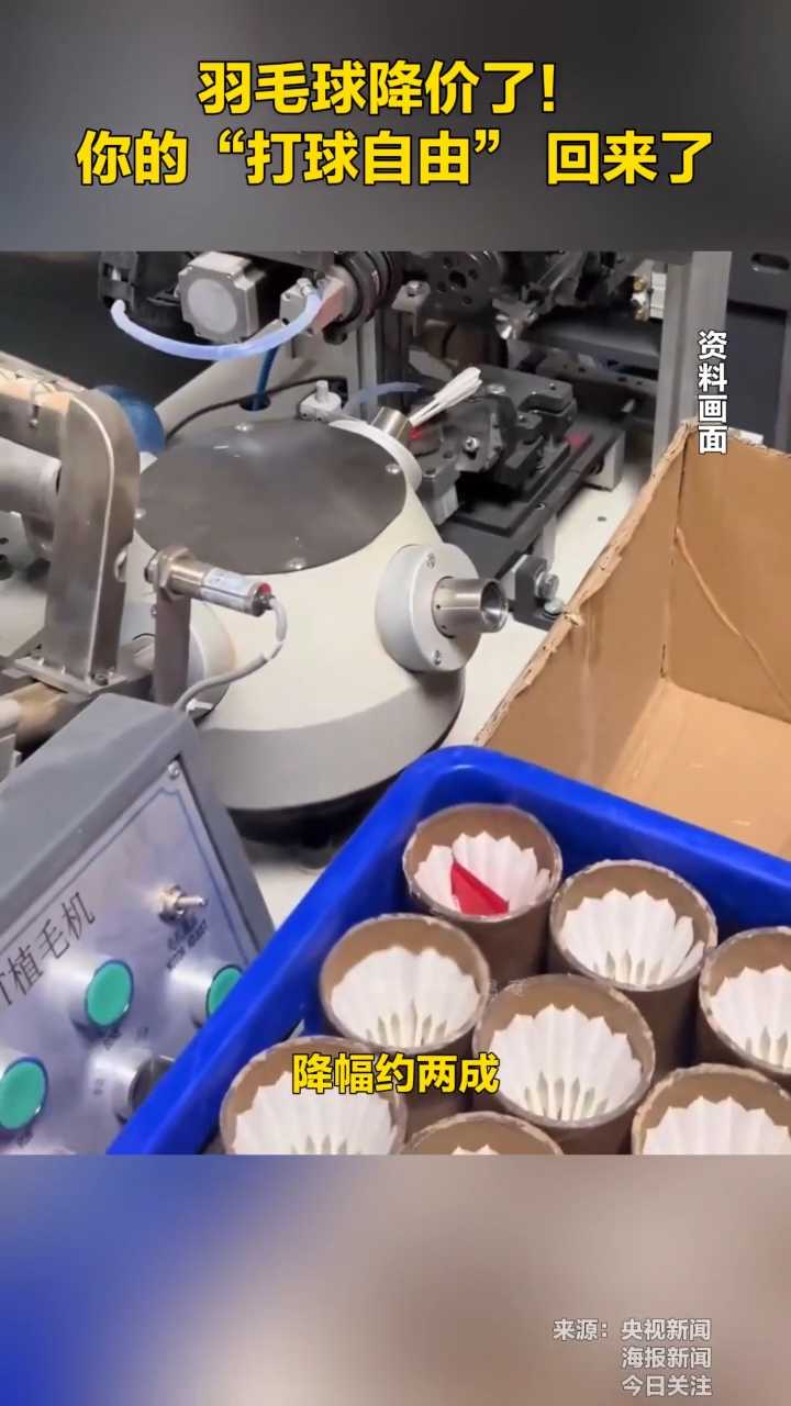 羽毛球降价了！你的“打球自由” 回来了