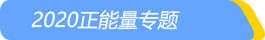 专题